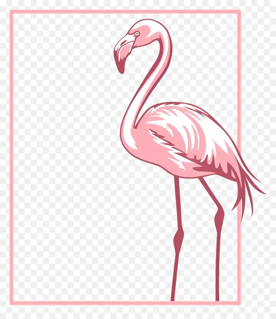 Basit Tasarım，Flamingo PNG