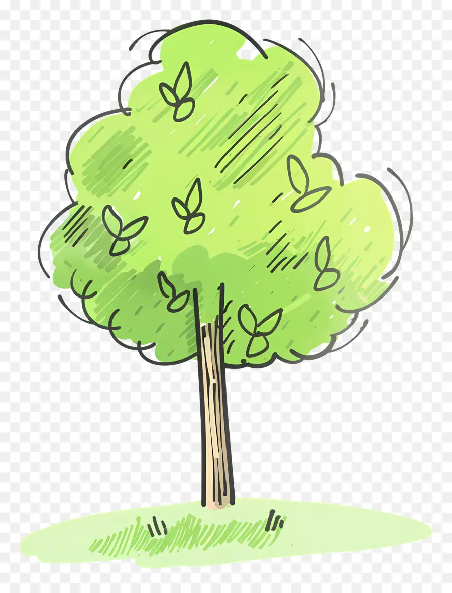 Karikatür Ağaç，Yeşil Ağaç PNG