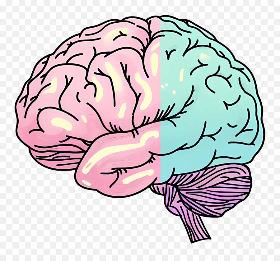 Karikatür Beyin，Beyin PNG
