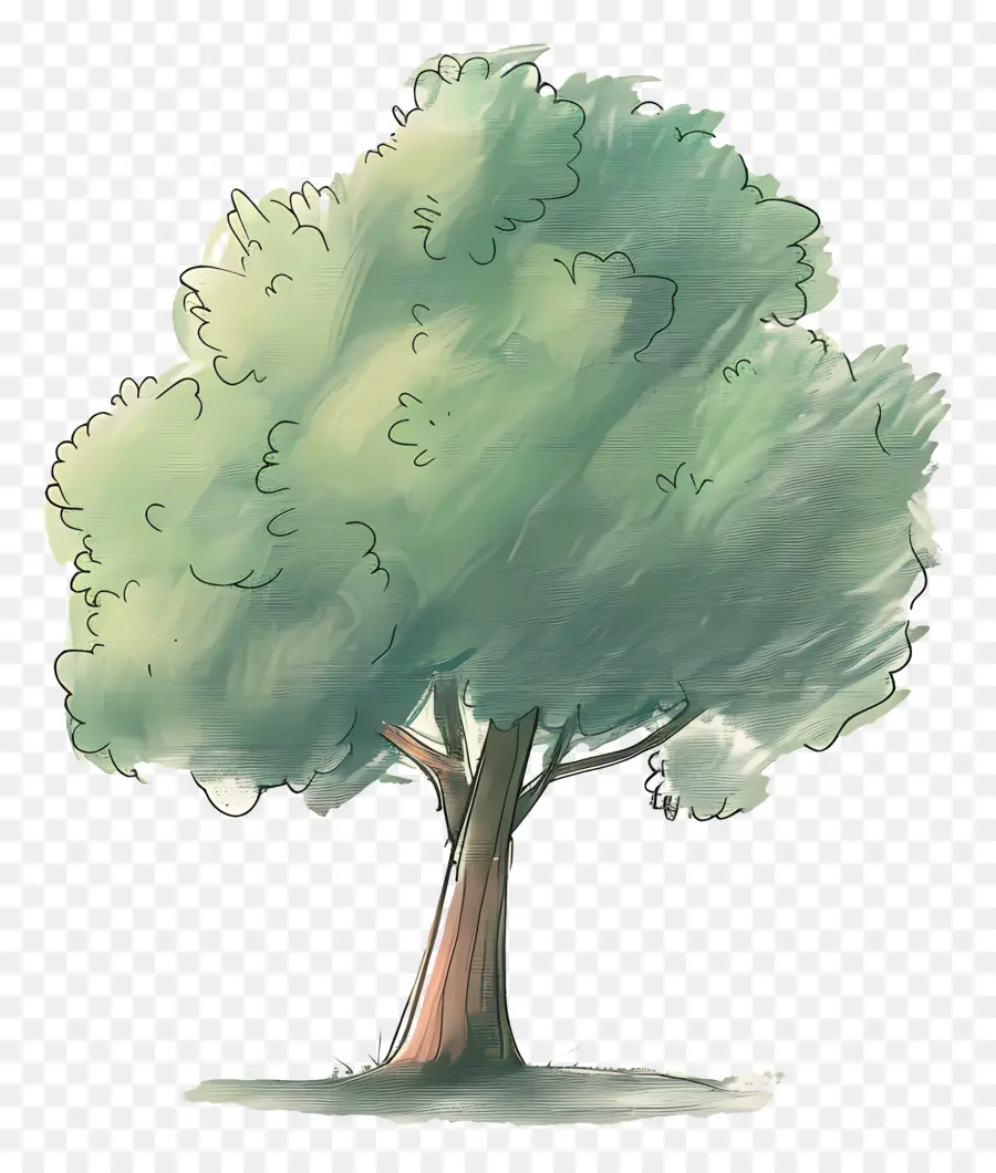 Karikatür Ağaç，Ağaç PNG