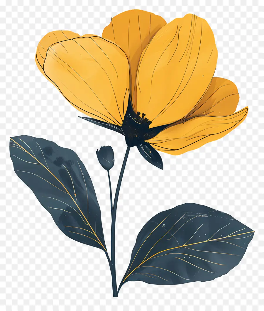 çiçek，Sarı PNG