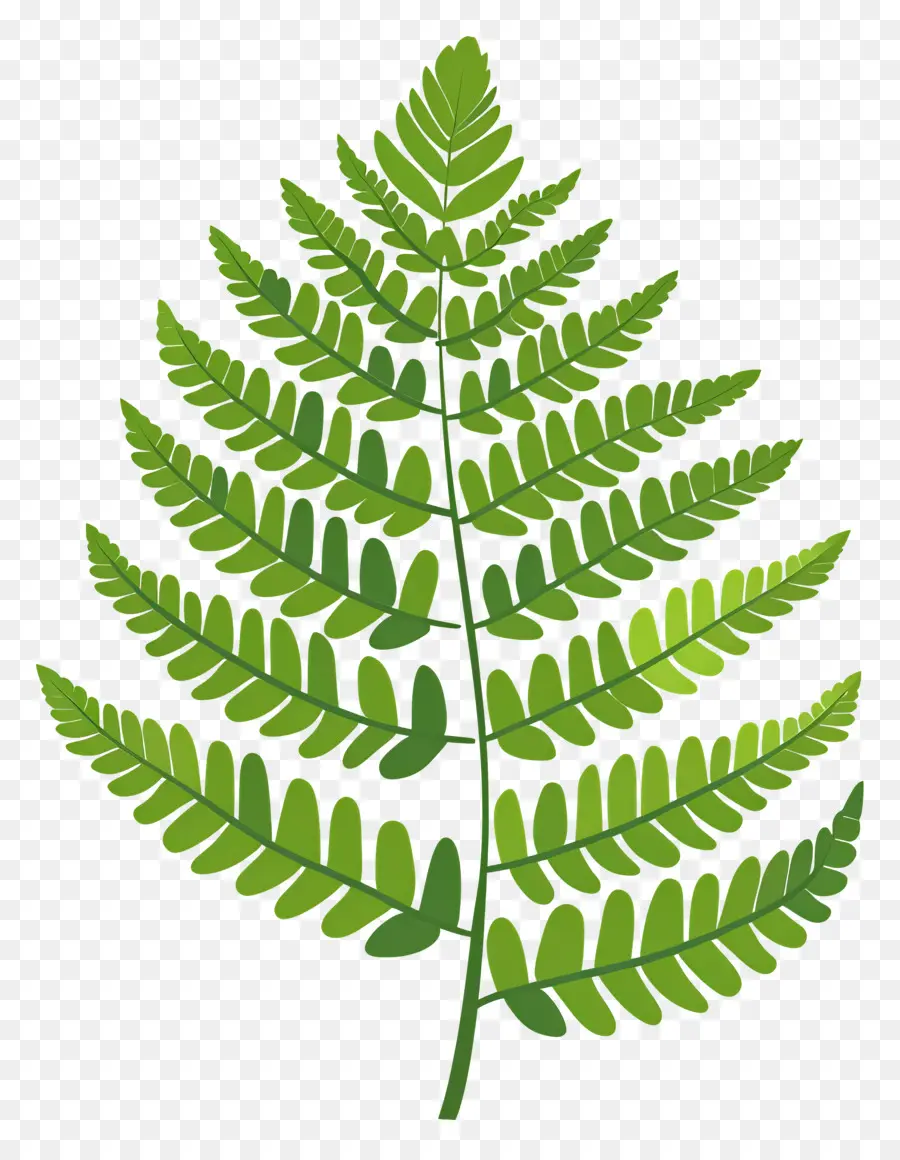 Fern Yaprak，Eğreltiotu PNG