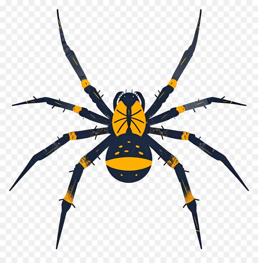 örümcek，Sarı örümcek PNG