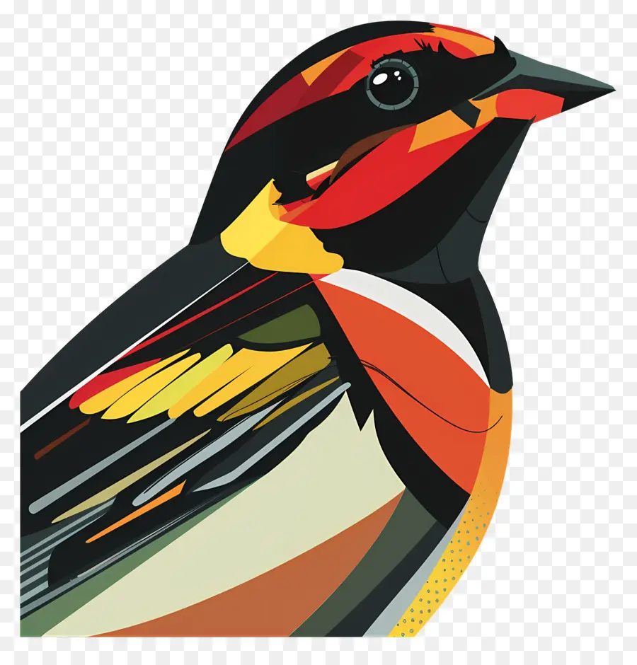 Kuş，Renkli Kuş PNG