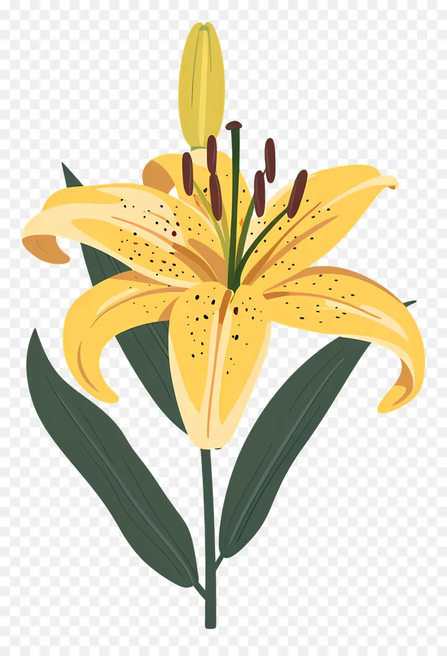 Lily çiçek，Sarı Yaprakları PNG