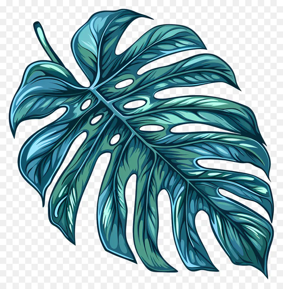 Monstera Yaprak，Canavar Yaprak PNG