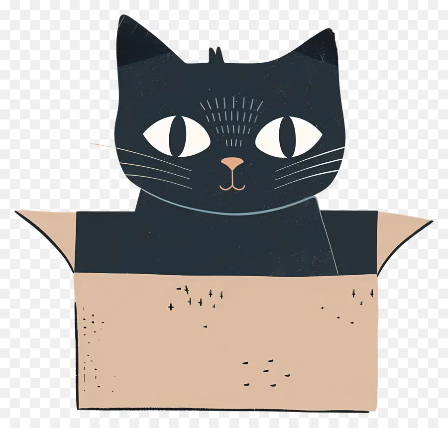 Kutusunda Kedi ，Siyah Kedi PNG