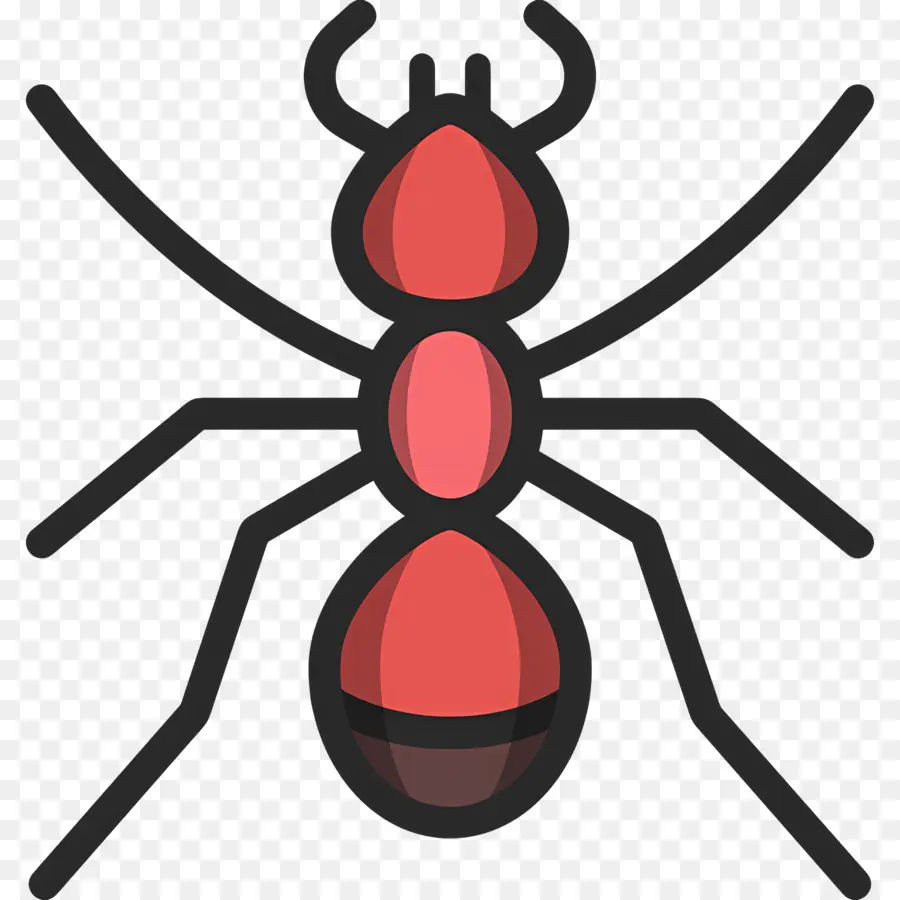 Karınca，Kırmızı PNG