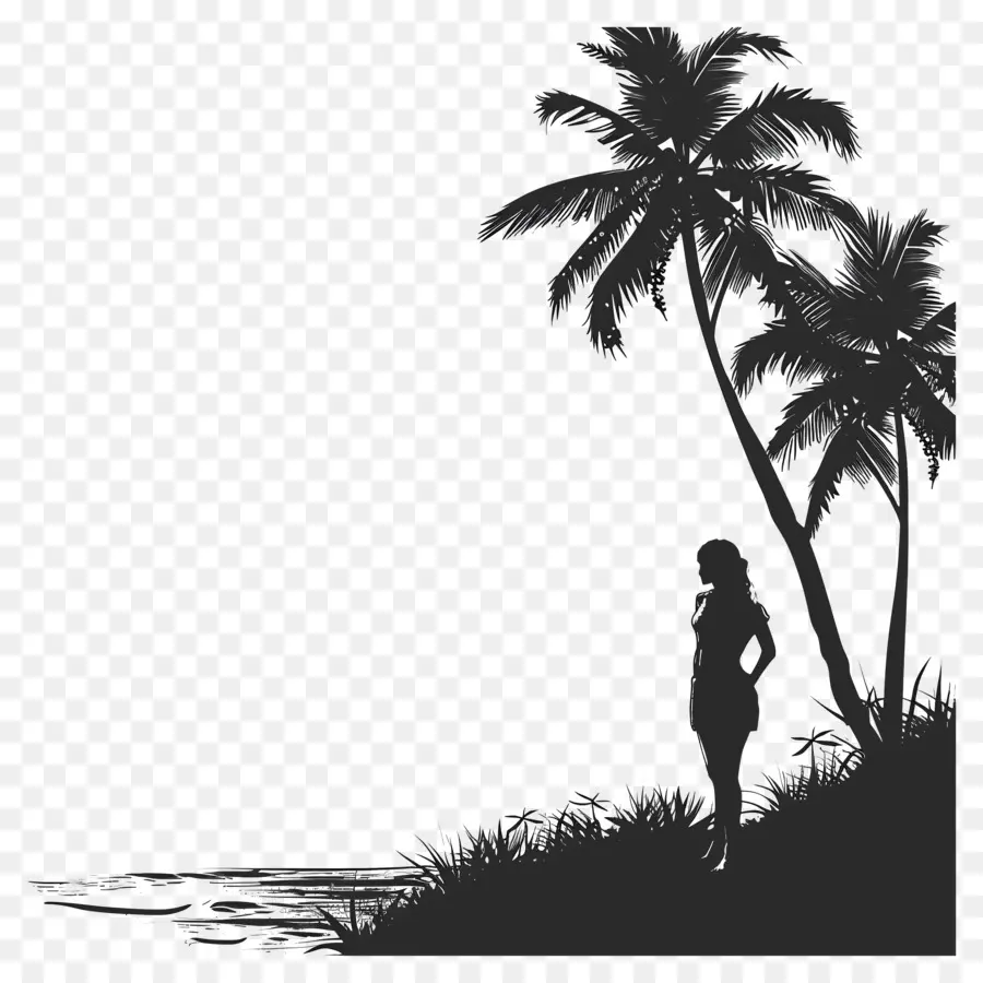 Plaj Siluet，Palmiye Ağaçları PNG