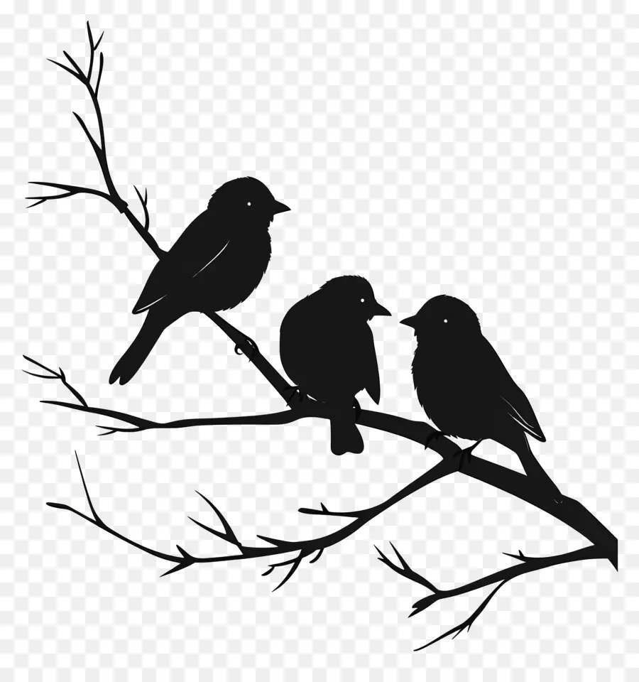 Bir Dalda Oturan Kuşlar，Kuş Siluet PNG