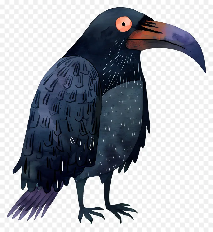 Karikatür Kuzgun，Siyah Kuş PNG