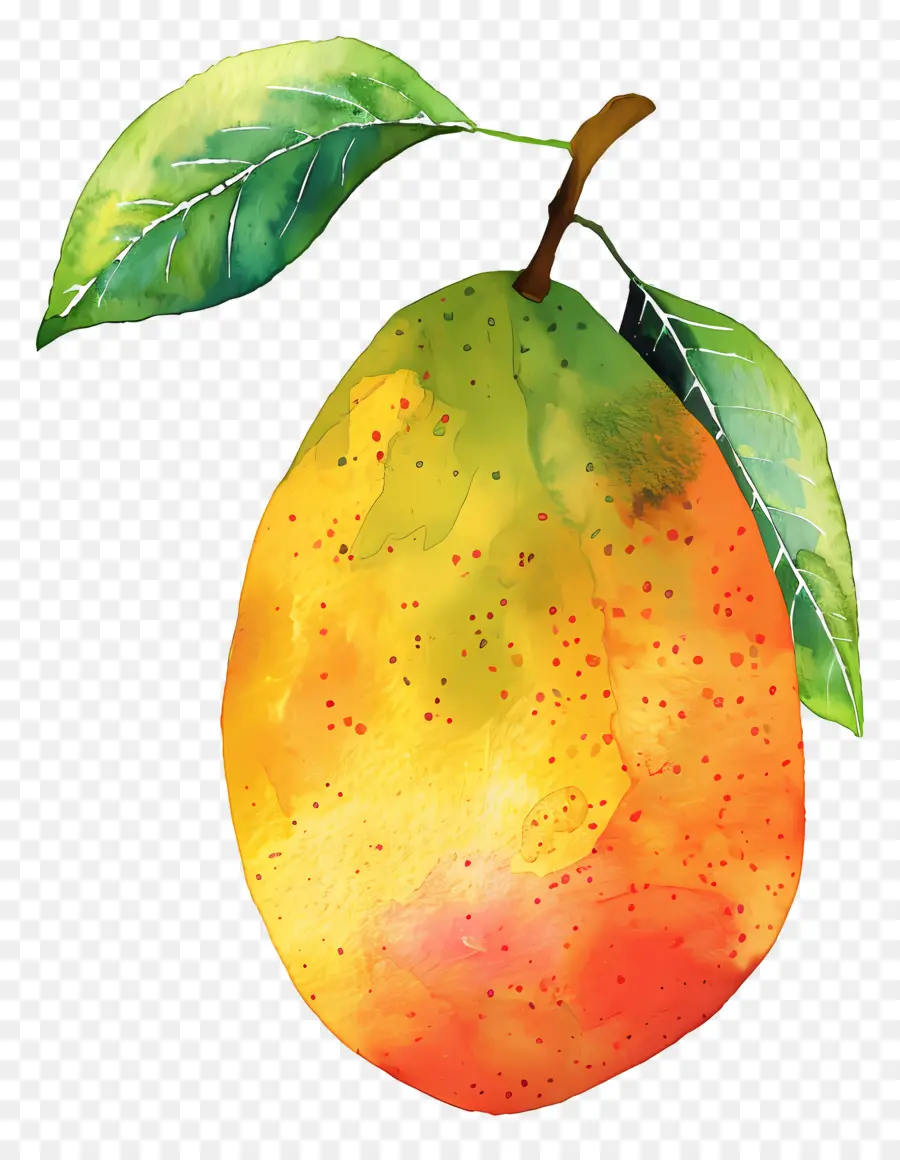 Mango，Armut PNG