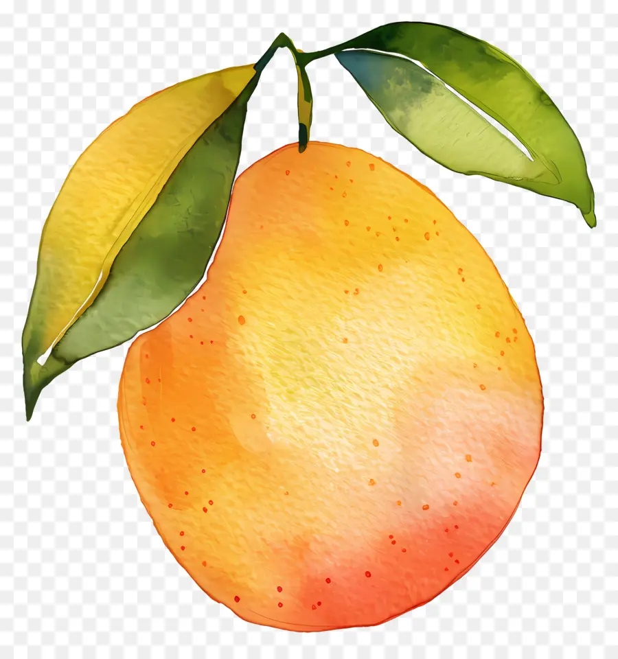 Mango，Turuncu PNG