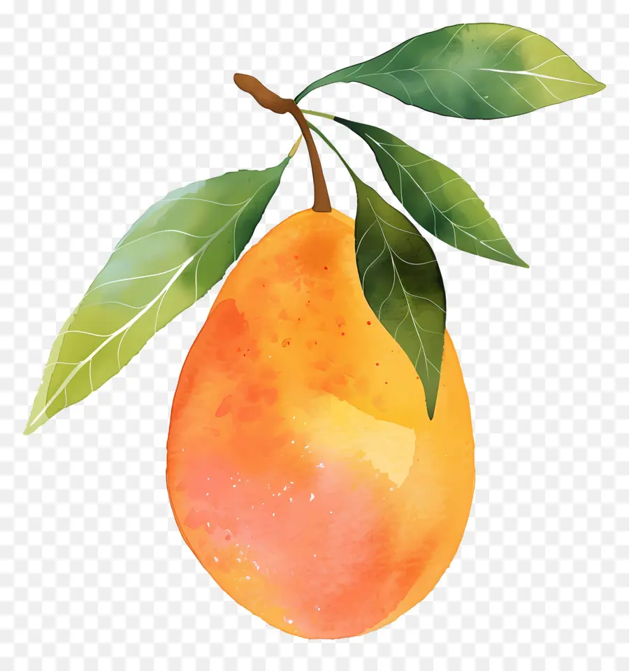 Mango，Armut PNG