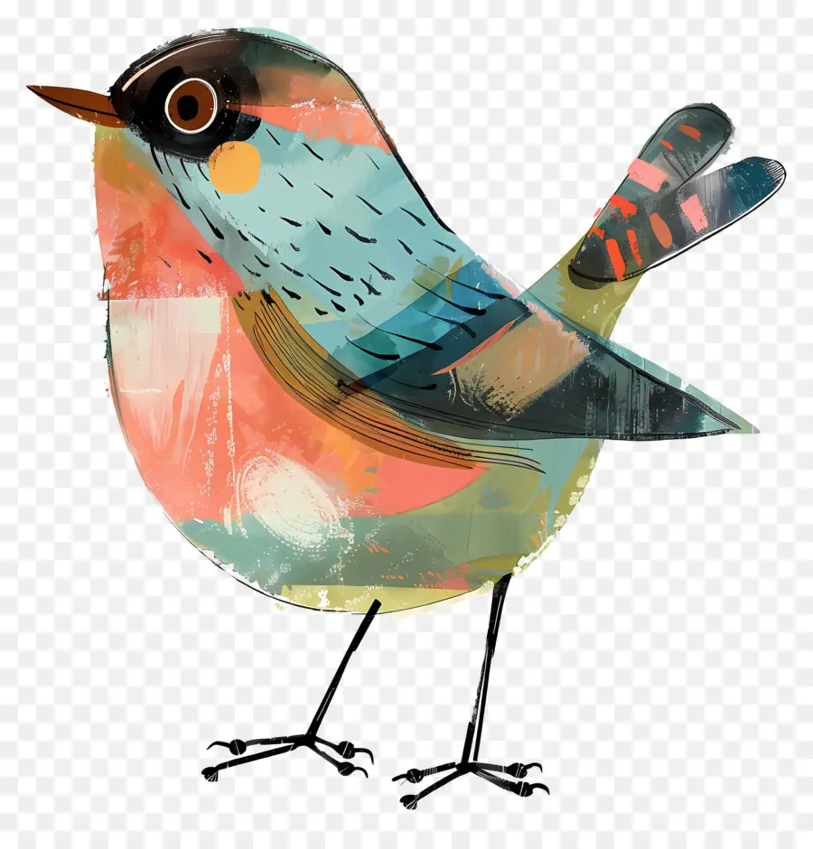 Kuş，Küçük Renkli Kuş PNG
