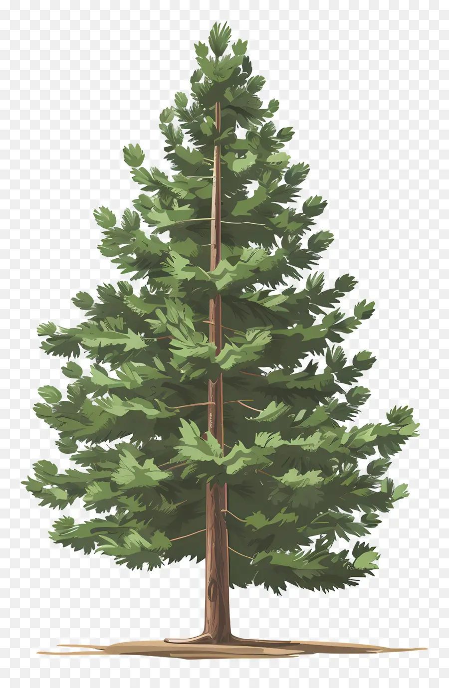 çam Ağacı，Yeşil PNG
