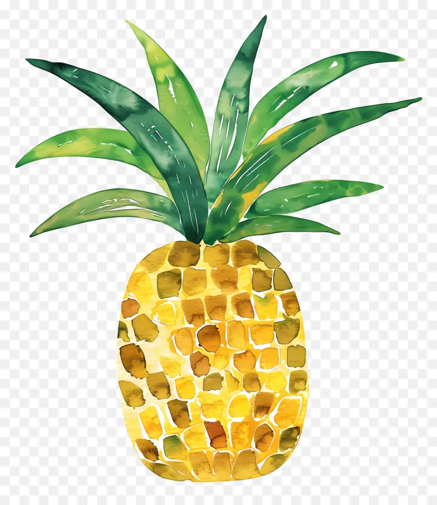 Ananas，Meyve PNG