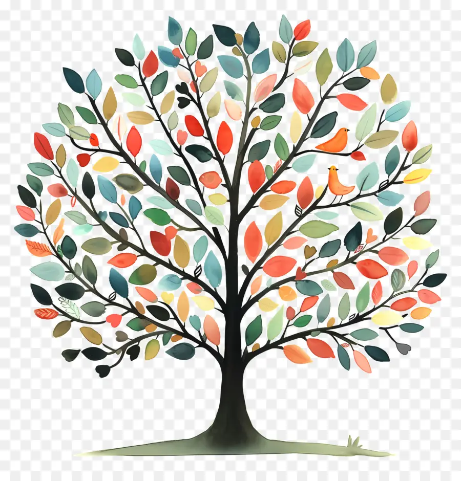 Hayat Ağacı ，Renkli Ağaç PNG
