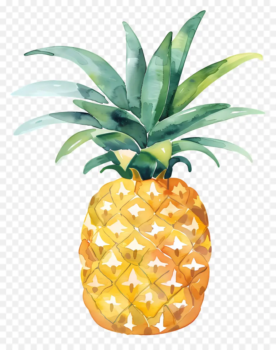 Ananas，Suluboya Resim PNG