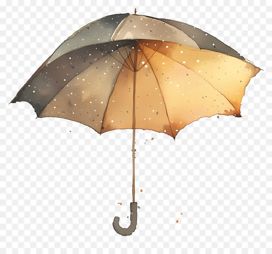 şemsiye，Kahverengi şemsiye PNG