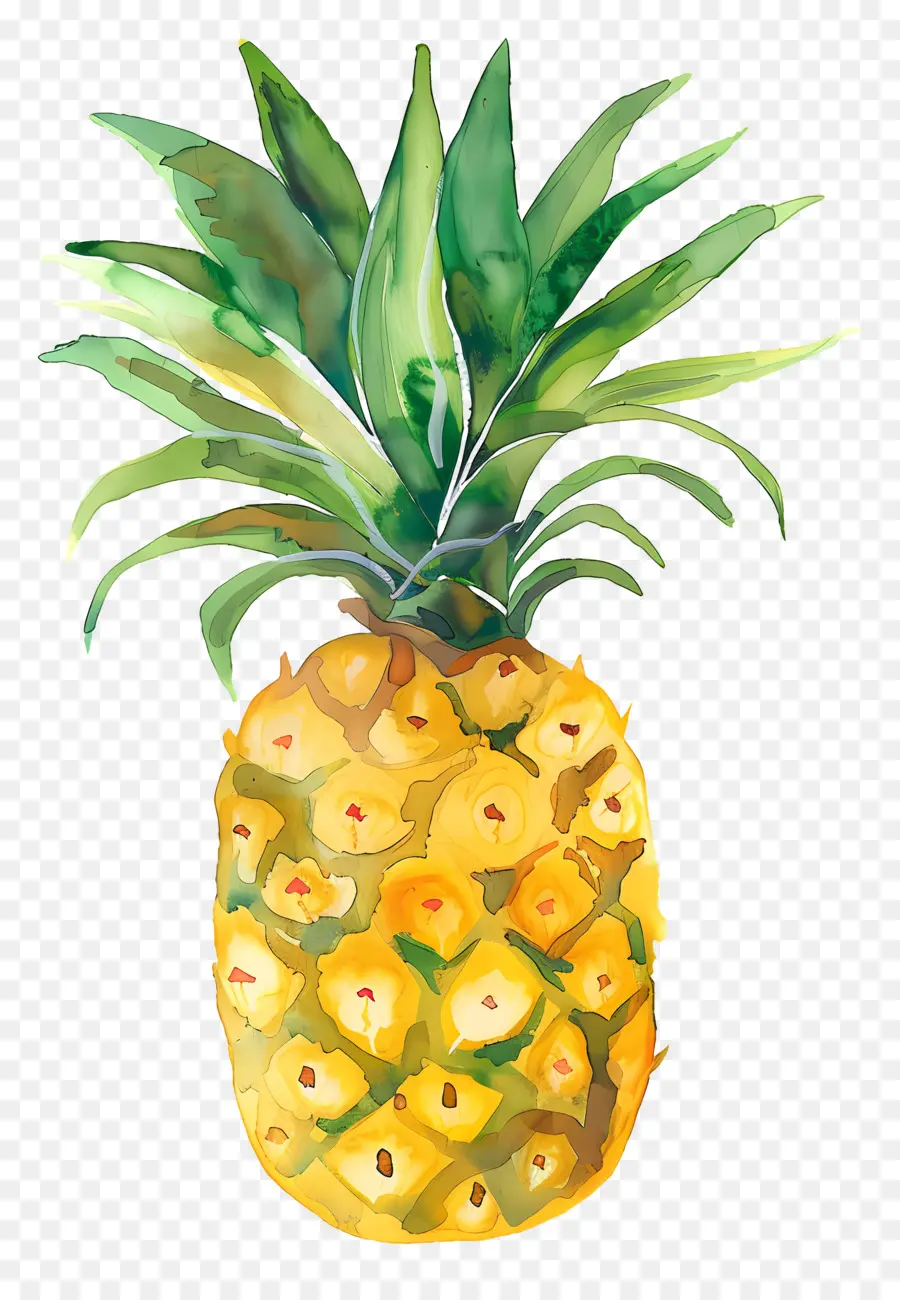 Ananas，Suluboya Resim PNG