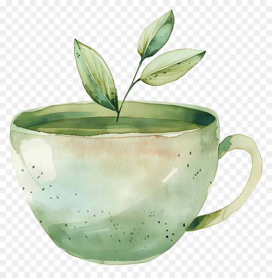 Çay Kupası，Yeşil çay PNG