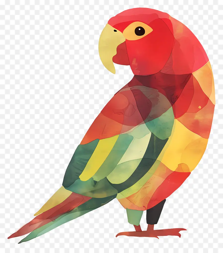 Papağan，Suluboya Resim PNG