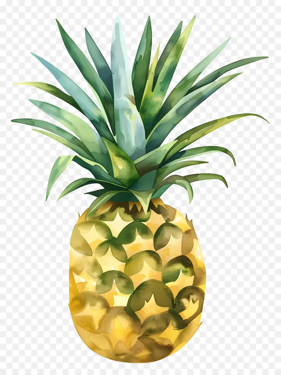 Ananas，Tropikal Meyve PNG