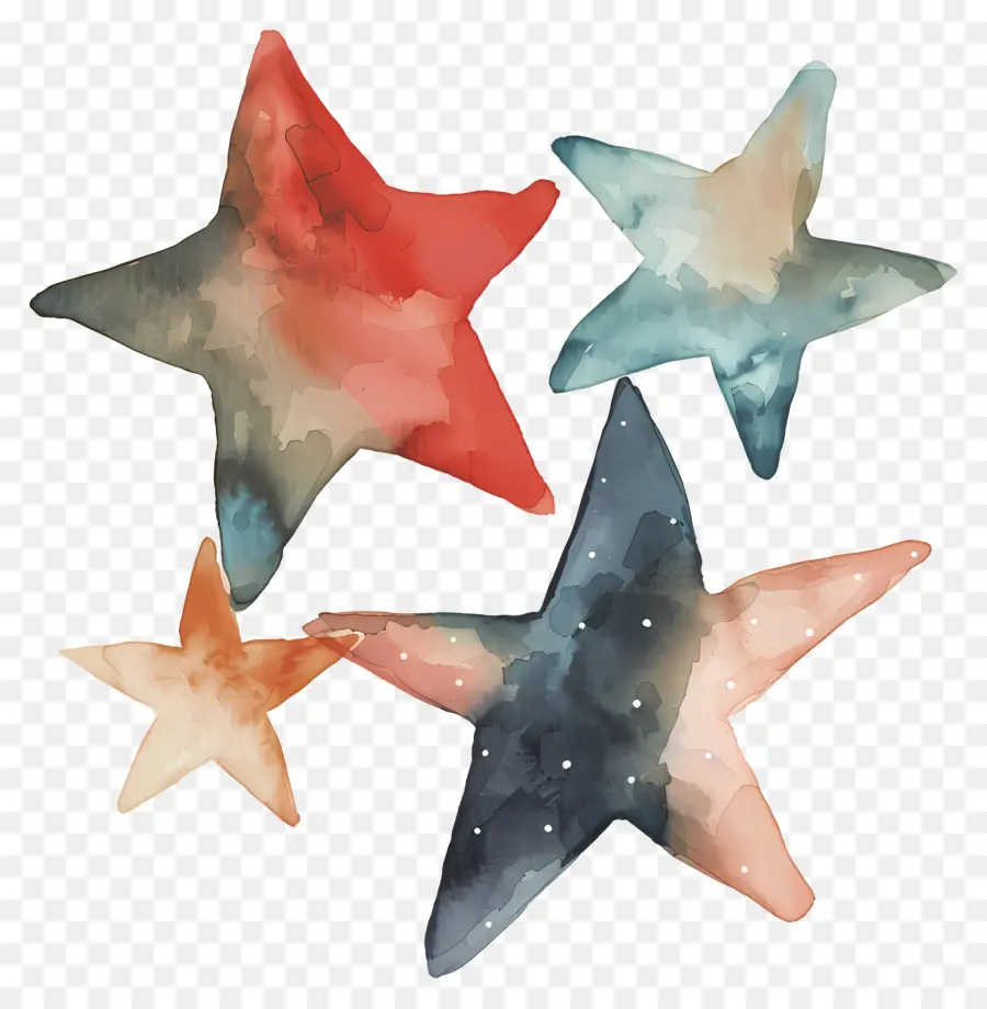 Yıldız，Denizyıldızı PNG