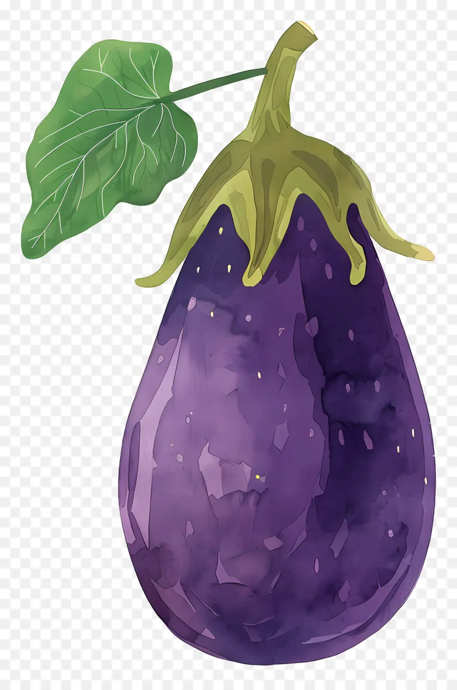 Patlıcan，Suluboya Resim PNG