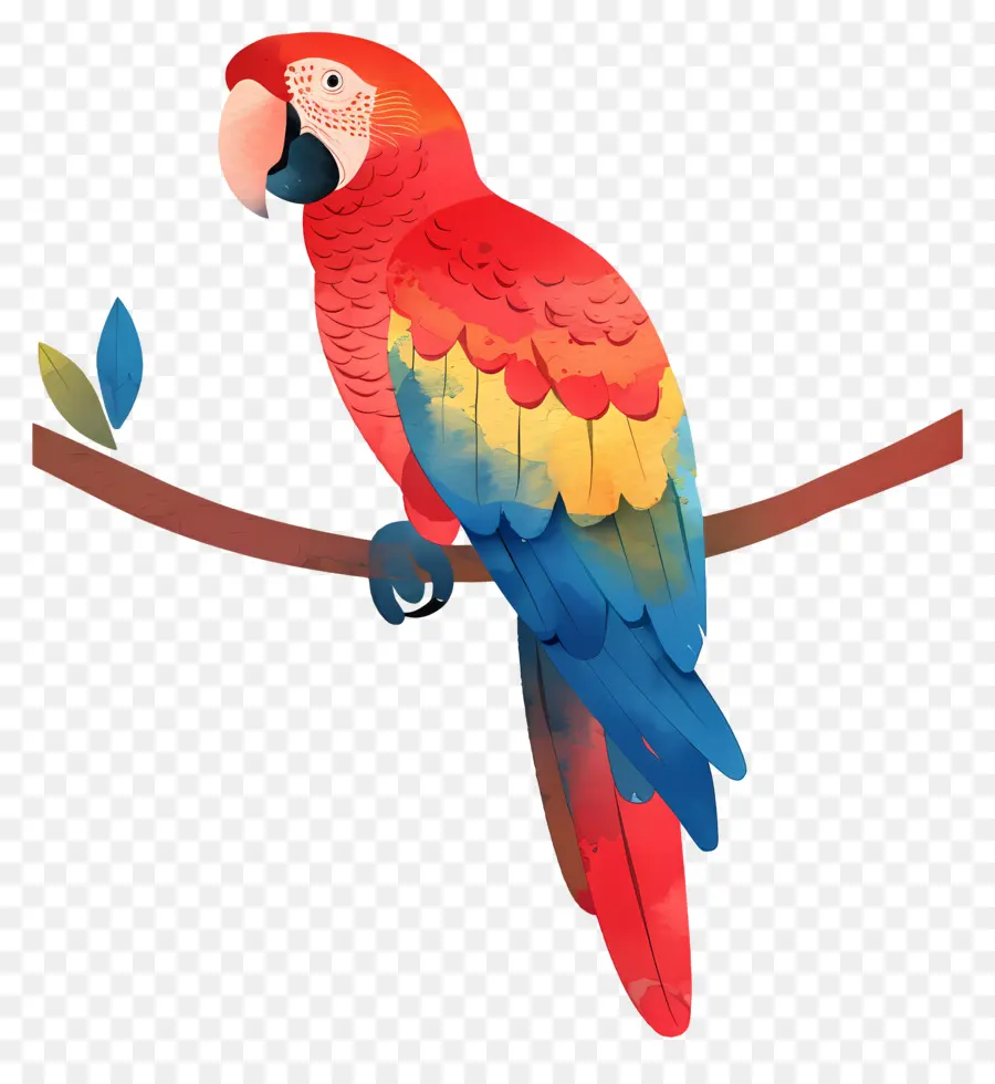 Papağan，Karikatür PNG