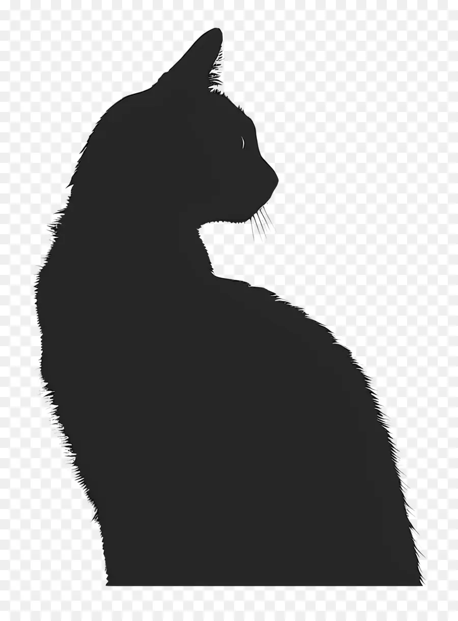 Kedi Siluet，Kedi PNG