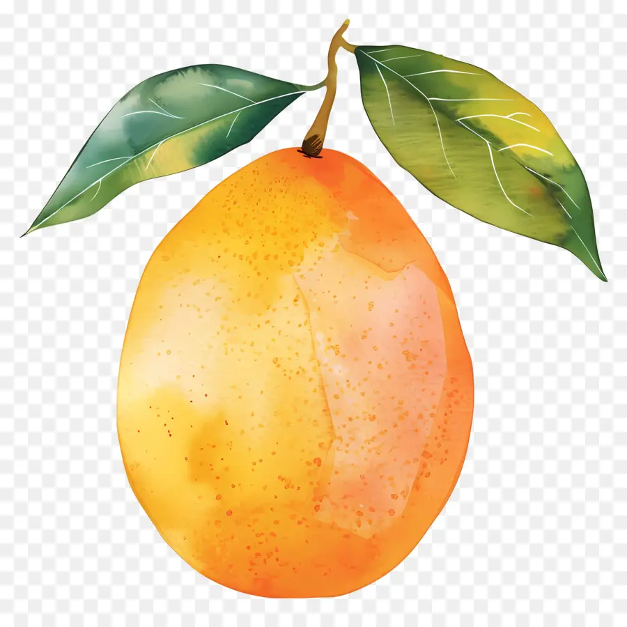 Mango，Armut PNG