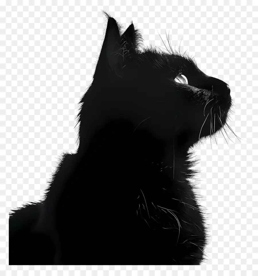 Kedi Siluet，Siyah Kedi PNG