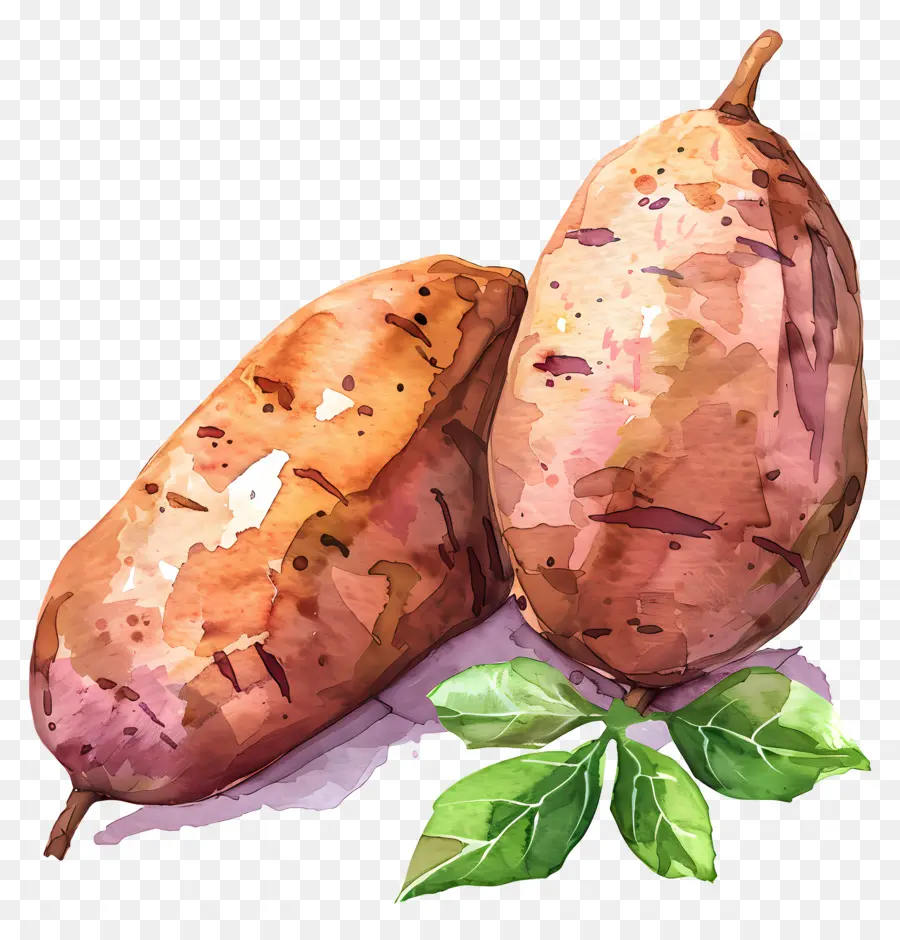 Yam，Tatlı Patates PNG