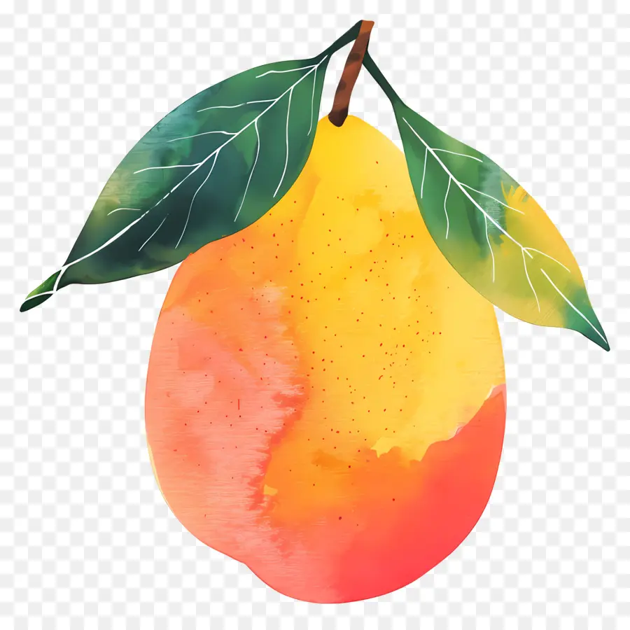 Mango，Armut PNG