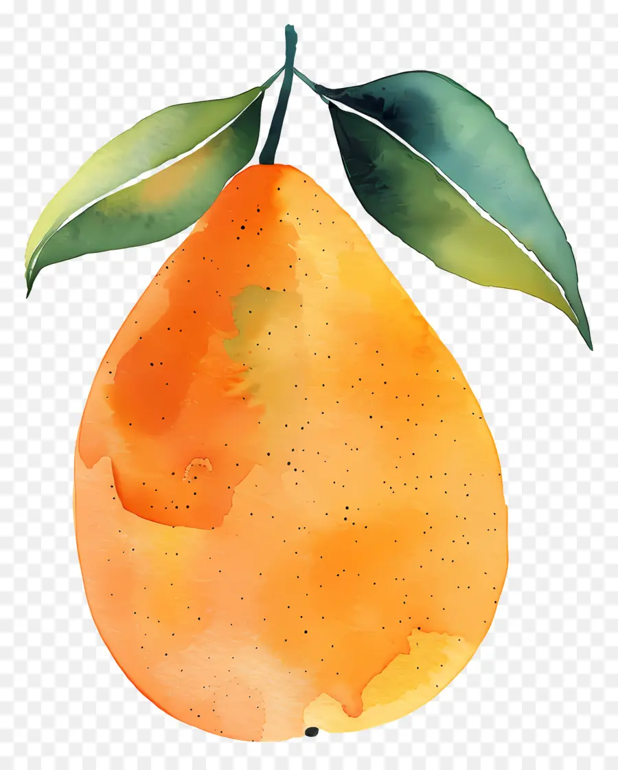 Mango，Suluboya PNG