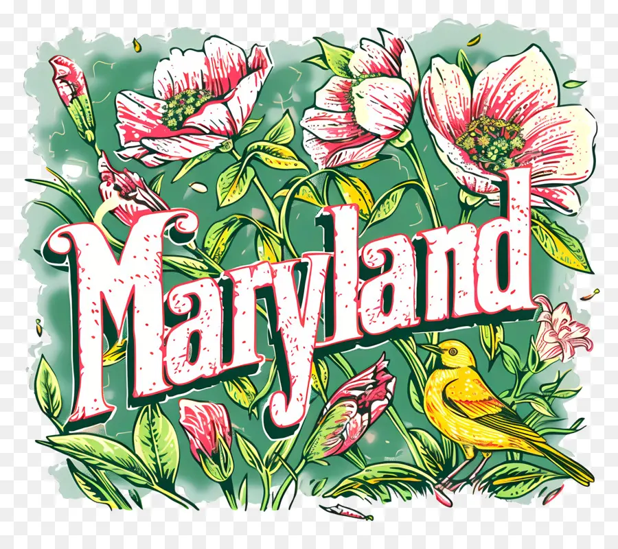Maryland，Handpainted PNG