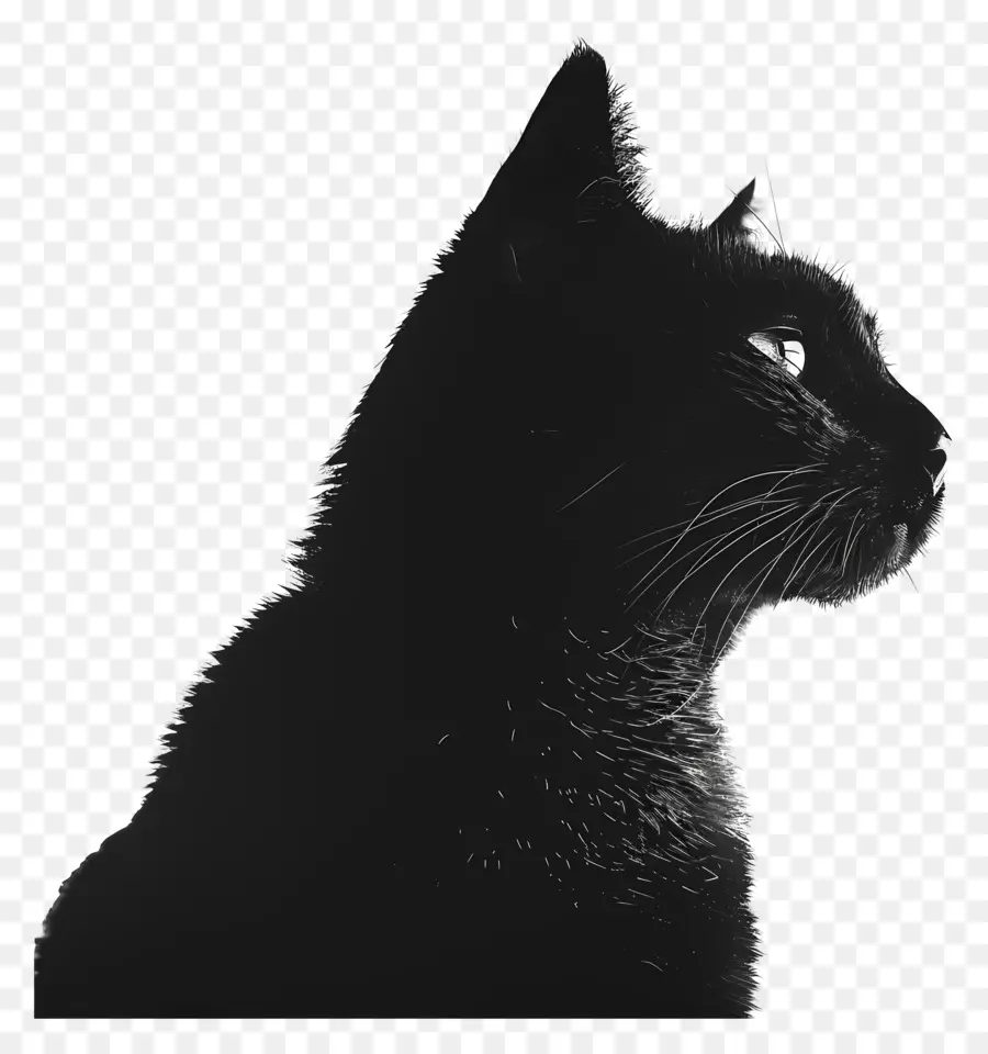 Kedi Silueti，Kara Kedi PNG