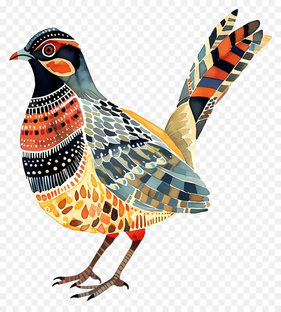 Bıldırcın，Renkli Kuş PNG