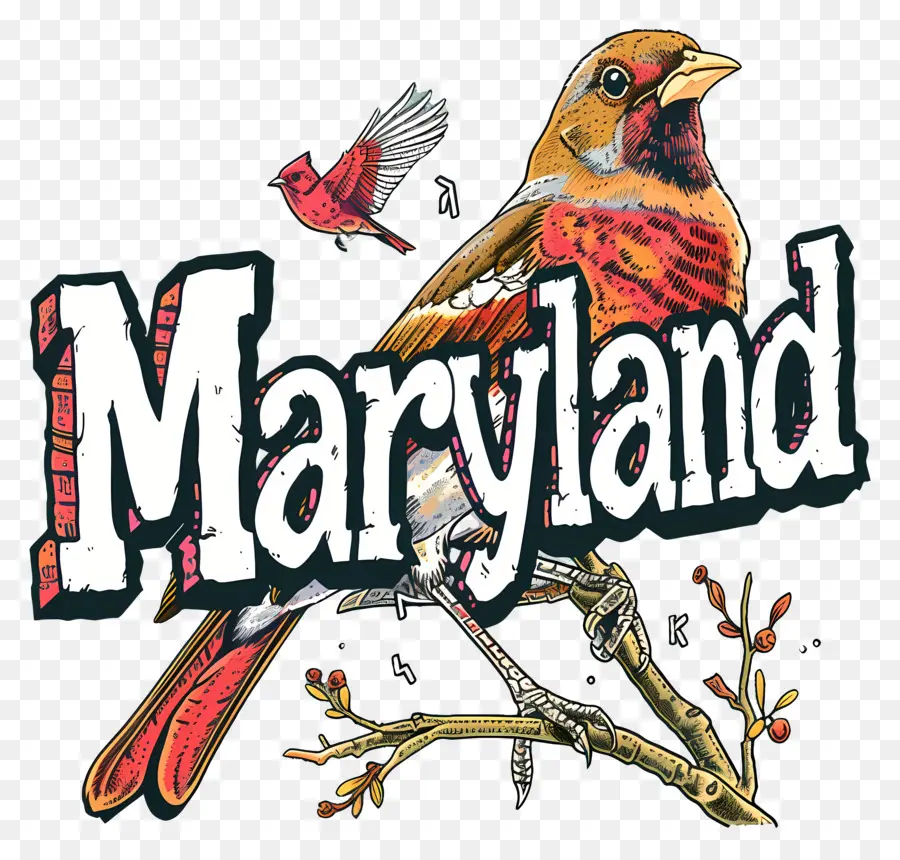 Maryland，Kırmızı Kardinal Kuşu PNG