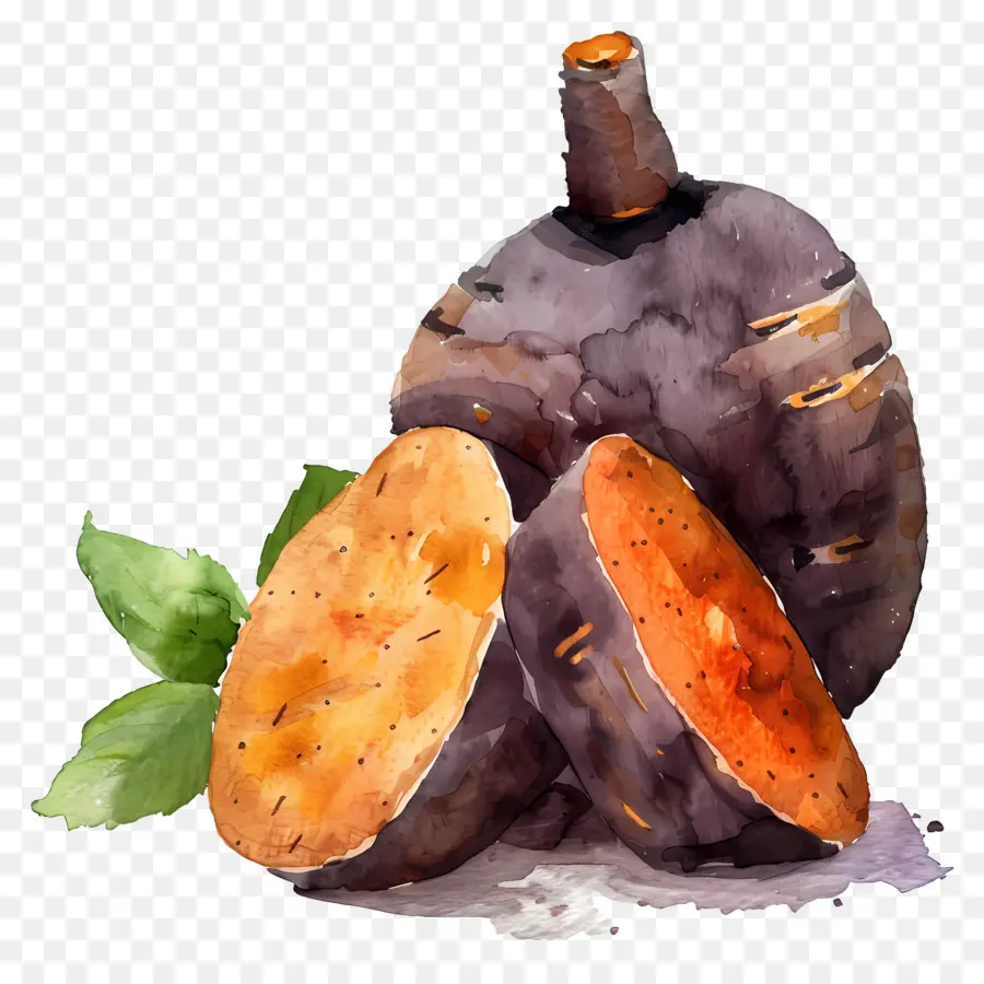 Yam，Kök PNG