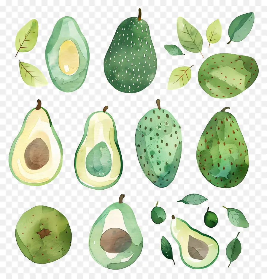 Avokado，Meyve PNG