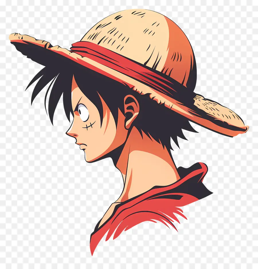 Luffy'nin Kafası，Hasır Şapka Karakteri PNG