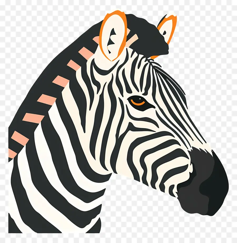 Zebra Kafası，Çizgili PNG