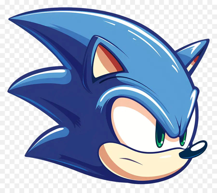 Sonic Kafa，Sonic PNG