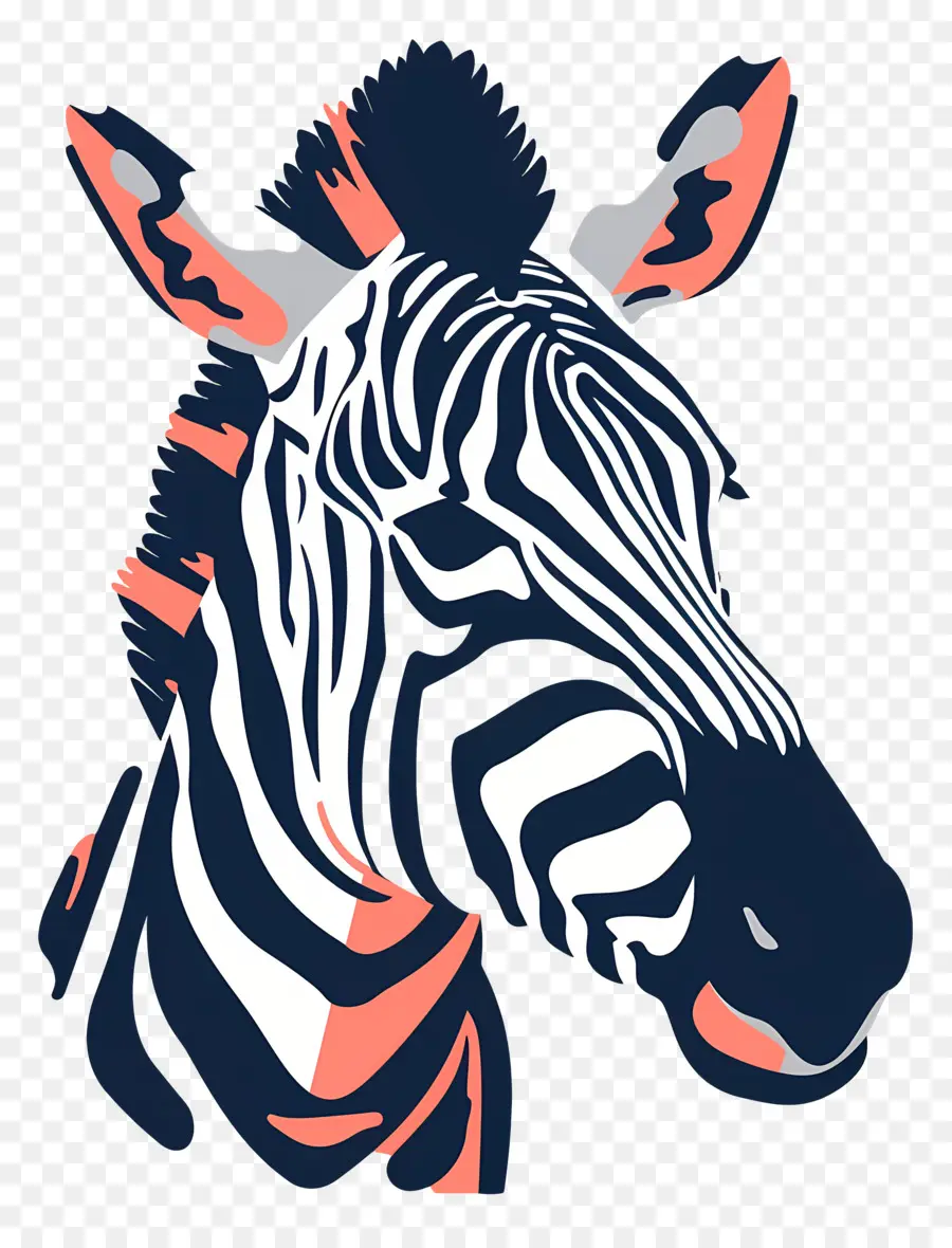 Zebra Kafa，Zebra PNG