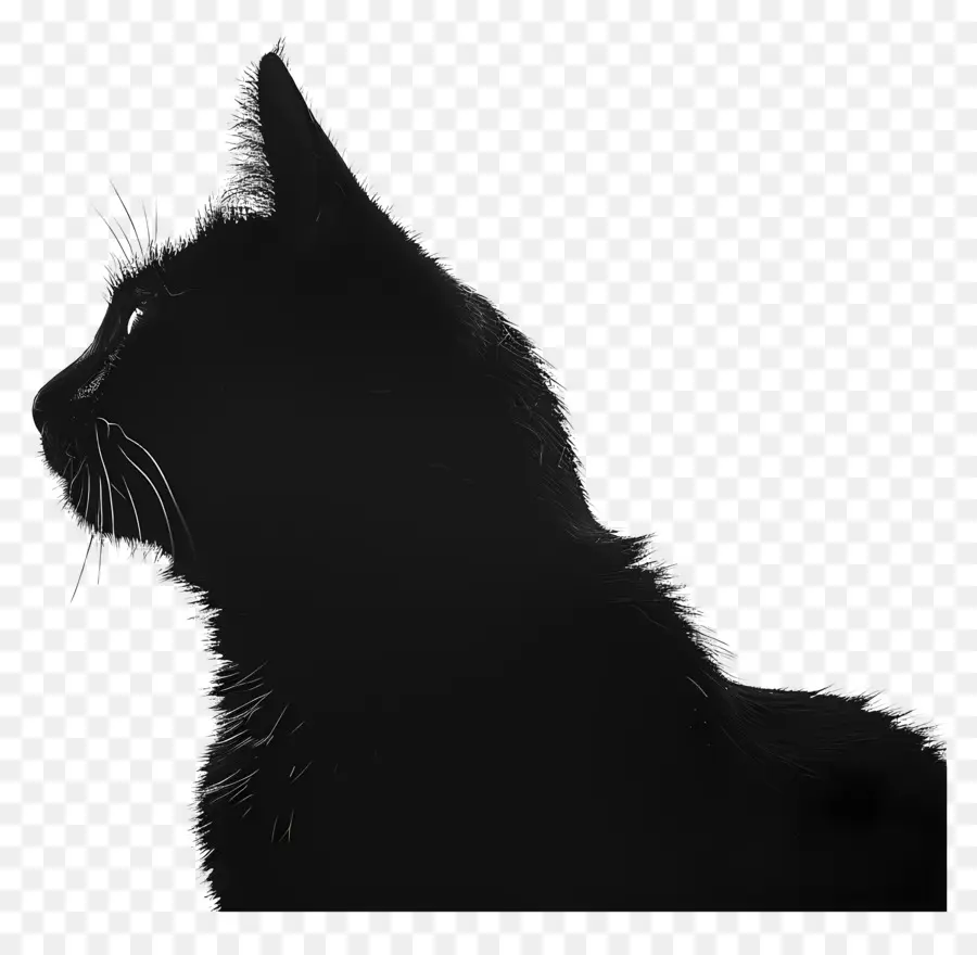 Kedi Silueti，Kara Kedi PNG