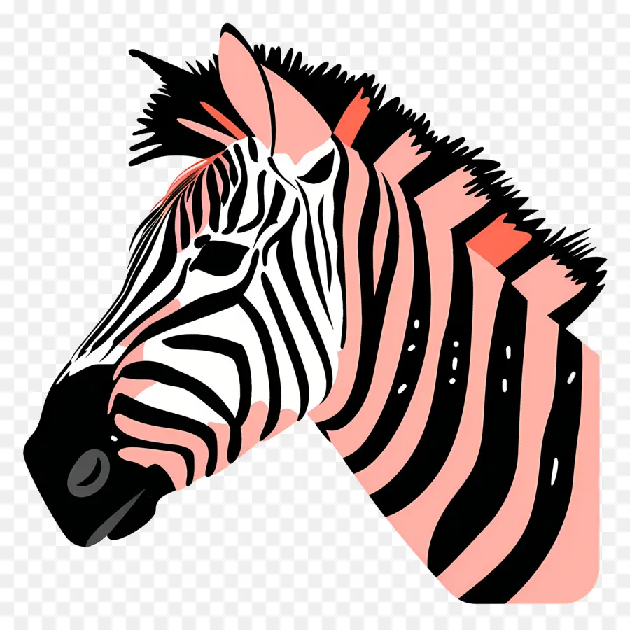 Zebra Kafası，Zebra PNG