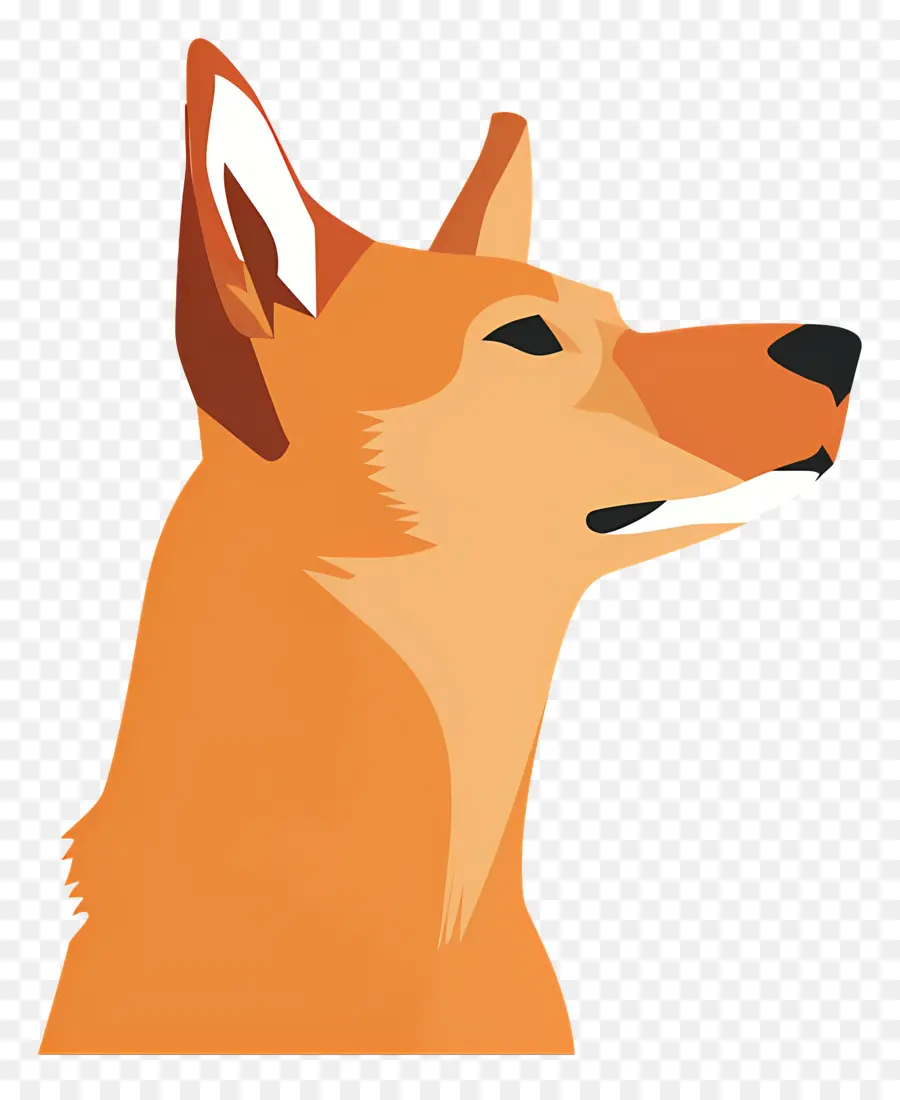 Köpek Kafası，Köpek PNG